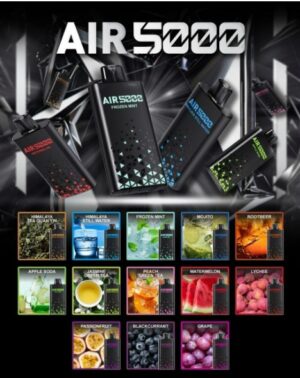 AIR 5000 5K PUFF DISPOSABLE POD